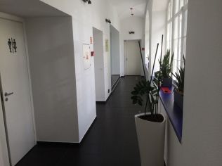 Аренда офиса 264 м2 в офисном здании, метро Адмиралтейская