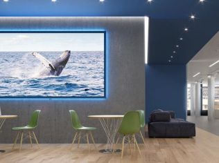 Аренда помещения свободного назначения 1270 м²