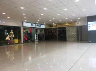 Аренда торгового помещения 200 м2, метро Проспект Просвещения