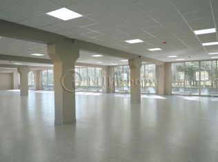 Аренда помещения свободного назначения 260 м²