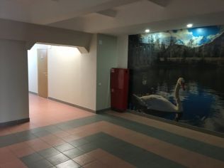 Аренда офиса 240 м2 в бизнес-центре, метро Выборгская