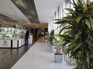 Аренда помещения свободного назначения 49.8 м2 в многофункциональном комплексе, метро Приморская