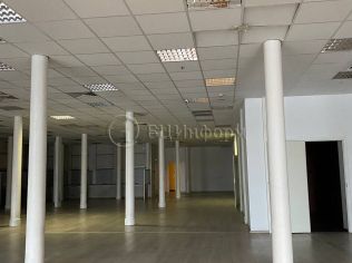 Аренда офиса 250 м²
