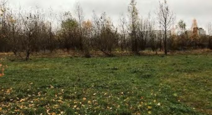 Продажа земельных участка 6.9 га, Мичманская улица - фото 3