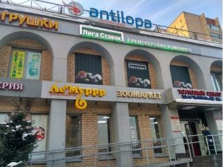 Аренда торгового помещения 283 м2, метро Проспект Просвещения