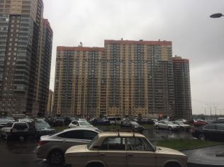 Аренда помещения свободного назначения 157 м2, метро Парнас