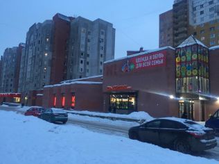 Аренда помещения свободного назначения 1087.4 м2 в отдельно стоящем здании, метро Проспект Ветеранов