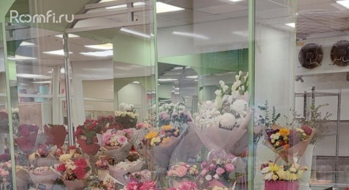 Продажа торгового помещения 113.2 м², 8-я линия Васильевского острова - фото 3