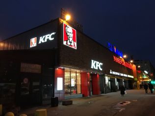 Аренда помещения свободного назначения 40 м2, метро Купчино