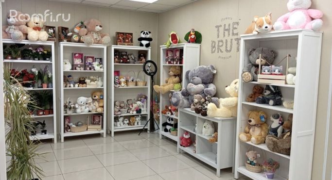 Продажа торгового помещения 113.2 м², 8-я линия Васильевского острова - фото 2