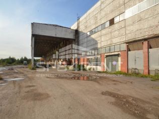 Продажа производственного помещения 34000 м2, метро Рыбацкое