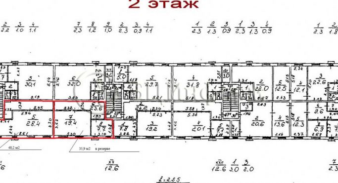 Аренда офиса 40.2 м², Новочеркасский проспект - фото 5