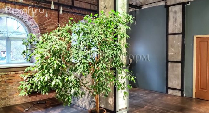 Аренда помещения свободного назначения 169.4 м², Старо-Петергофский проспект - фото 5