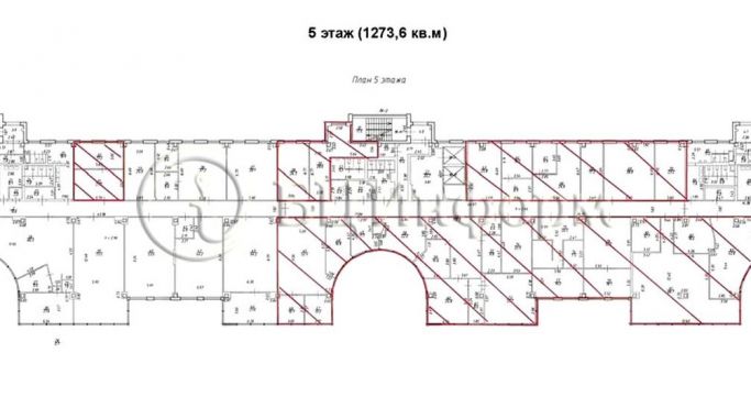 Аренда офиса 3680 м², Аптекарская набережная - фото 3