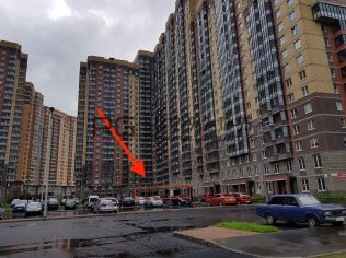 Аренда помещения свободного назначения 133 м2, метро Парнас