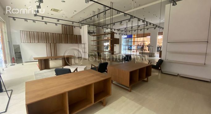 Аренда торгового помещения 171.3 м², улица Савушкина - фото 3