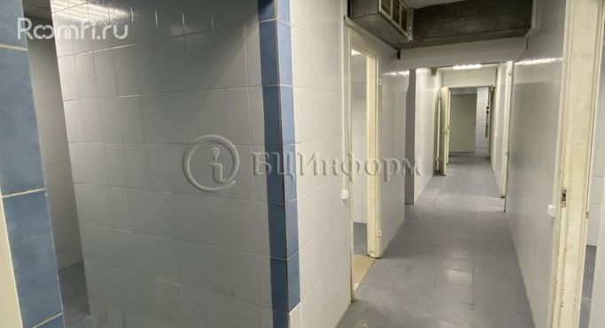 Аренда помещения свободного назначения 175 м², Кондратьевский проспект - фото 2