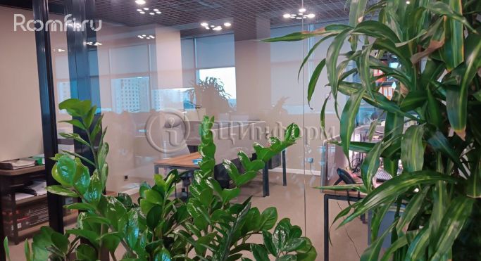 Аренда офиса 161.1 м², Звёздная улица - фото 4