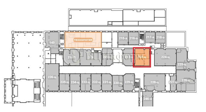 Аренда офиса 77 м², Кондратьевский проспект - фото 5