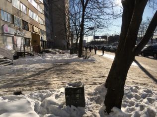 Продажа торгового помещения 113 м2, метро Проспект Просвещения