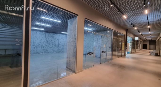 Аренда помещения свободного назначения 44 м², Брюлловская улица - фото 2