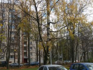 Аренда торгового помещения 280 м2, метро Удельная