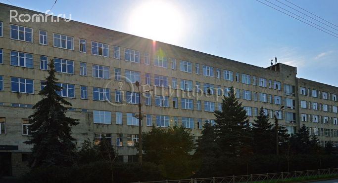 Аренда офиса 45.8 м², Левашовский проспект - фото 5