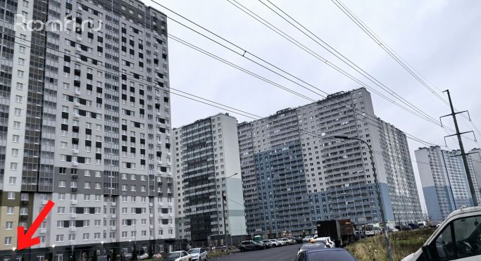 Аренда торгового помещения 74.3 м², Муринская дорога - фото 2