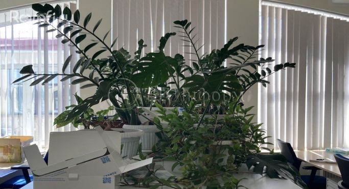 Аренда офиса 690 м², Средний проспект Васильевского острова - фото 4